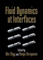 Fluid Dynamics at Interfaces