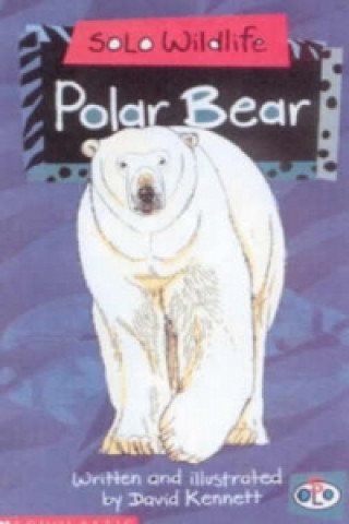 Solo Wildlife: Polar Bear