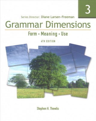 Grammar Dimensions 3