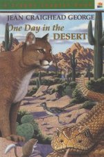 ONE DAY IN THE DESERT PB