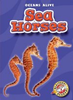 SEA HORSES PB