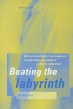 Beating the Labyrinth