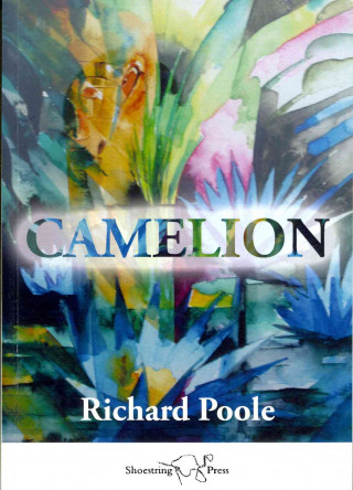 Camelion