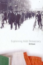 Explaining Irish Democracy