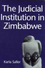 Judicial Institution in Zimbabwe