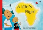 Kite's Flight