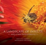 landscape of insects and other invertebrates