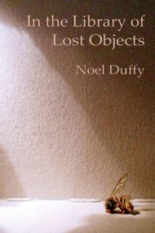In the Library of Lost Objects
