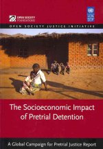 Socioeconomic Impact of Pre-trial Detention