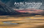 Arctic Sanctuary