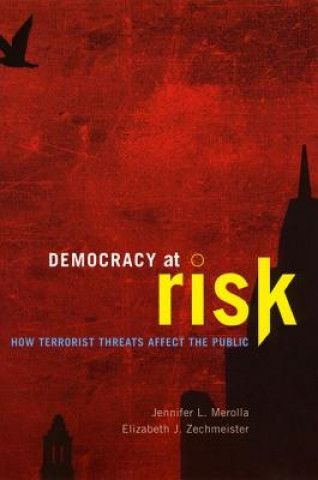 Democracy at Risk