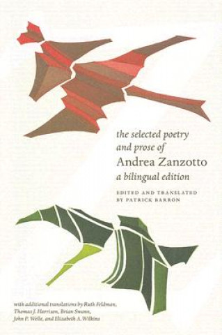 Selected Poetry and Prose of Andrea Zanzotto