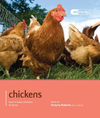 Chickens - Pet Friendly