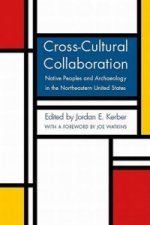 Cross-Cultural Collaboration