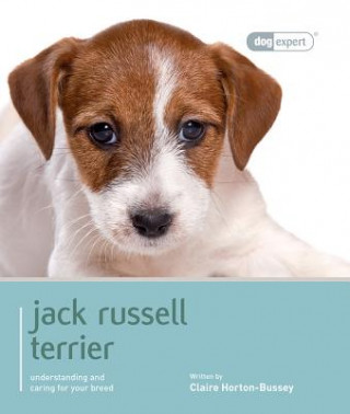 Jack Russell Terrier - Dog Expert