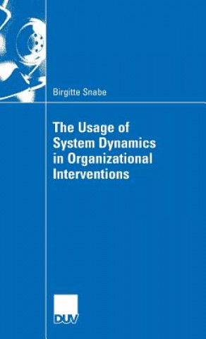 Usage of System Dynamics in Organizational Interventions