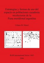 Estrategias y formas de uso del espacio en poblaciones cazadoras recolectoras de la Puna Meridional Argentina