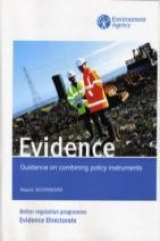 Guidance on Combining Policy Instruments R5