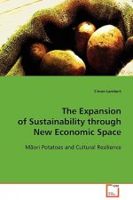 Expansion of Sustainability through New Economic Space