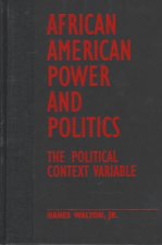 African American Power and Politics