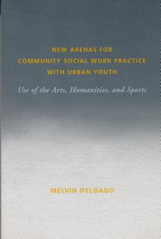 New Arenas for Community Social Work Practice with Urban Youth
