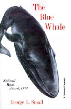 Blue Whale