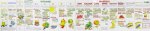 Vitamin Chart