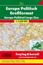 Europe Political enlarged map