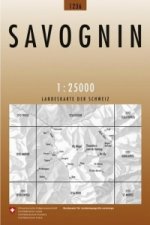 Savognin