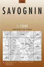 Savognin