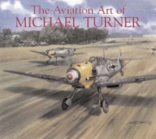 Aviation Art of Michael Turner