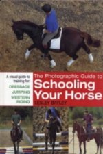 Photographic Guide to Schooling Your Horse