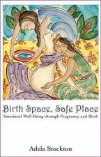 Birth Space, Safe Place