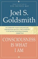 Consciousness is What I am