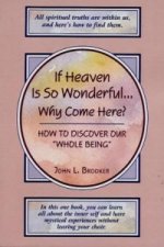 If Heaven is So Wonderful... Why Come Here?
