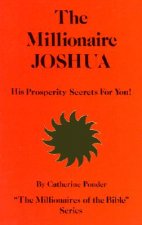 Millionaire Joshua - the Millionaires of the Bible Series Volume 3
