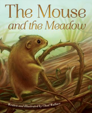 Mouse and the Meadow
