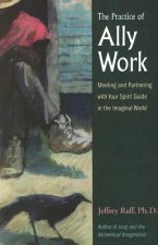 Practice of Ally Work