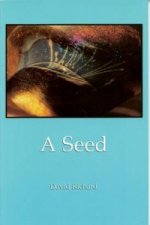 Seed