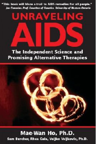 Unraveling AIDS
