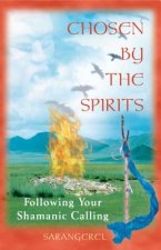 Chosen by the Spirit