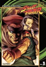 Street Fighter Volume 3: Fighter's Destiny