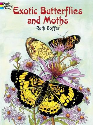 Exotic Butterflies and Moths CB