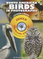 North American Birds in Photographs