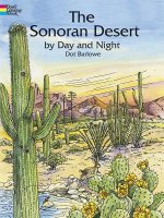 Sonoran Desert by Day and Night