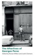 Afterlives of Georges Perec