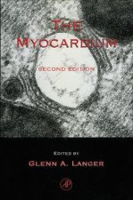 Myocardium