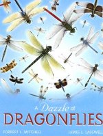 Dazzle of Dragonflies