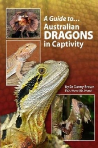 Australian Dragons In Captivity