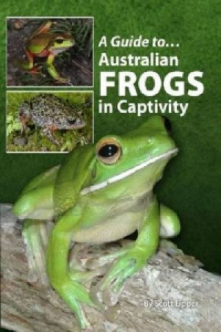 Australian Frogs In Captivity